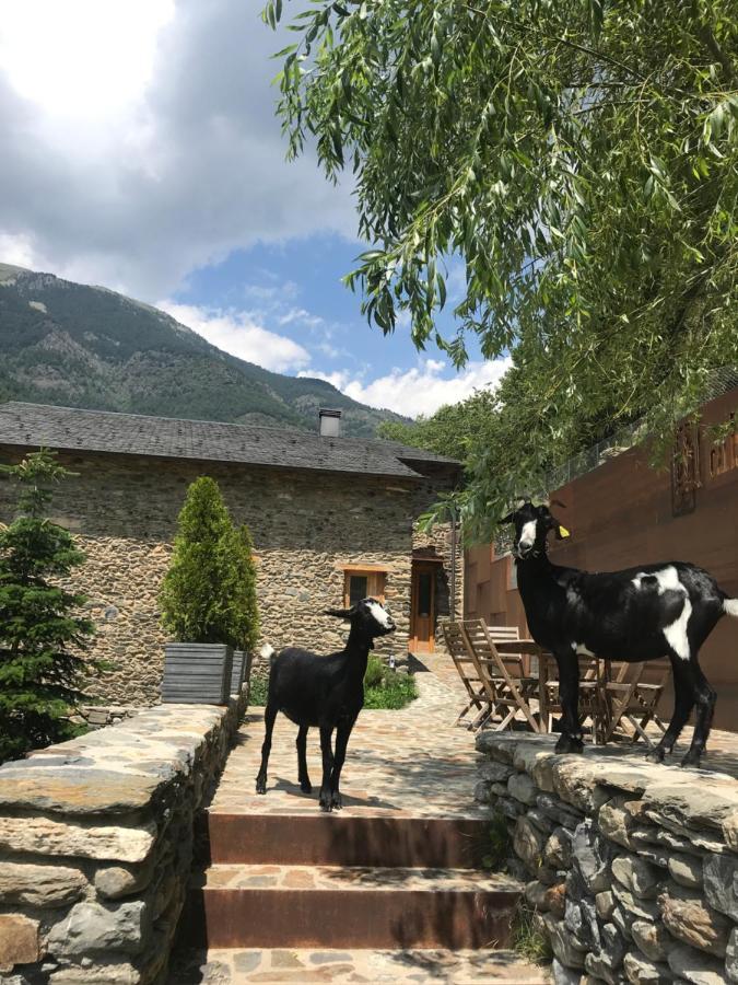Cal Batlle Casa Rural La Cortinada エクステリア 写真